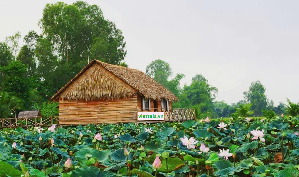 lắp mạng viettel long an